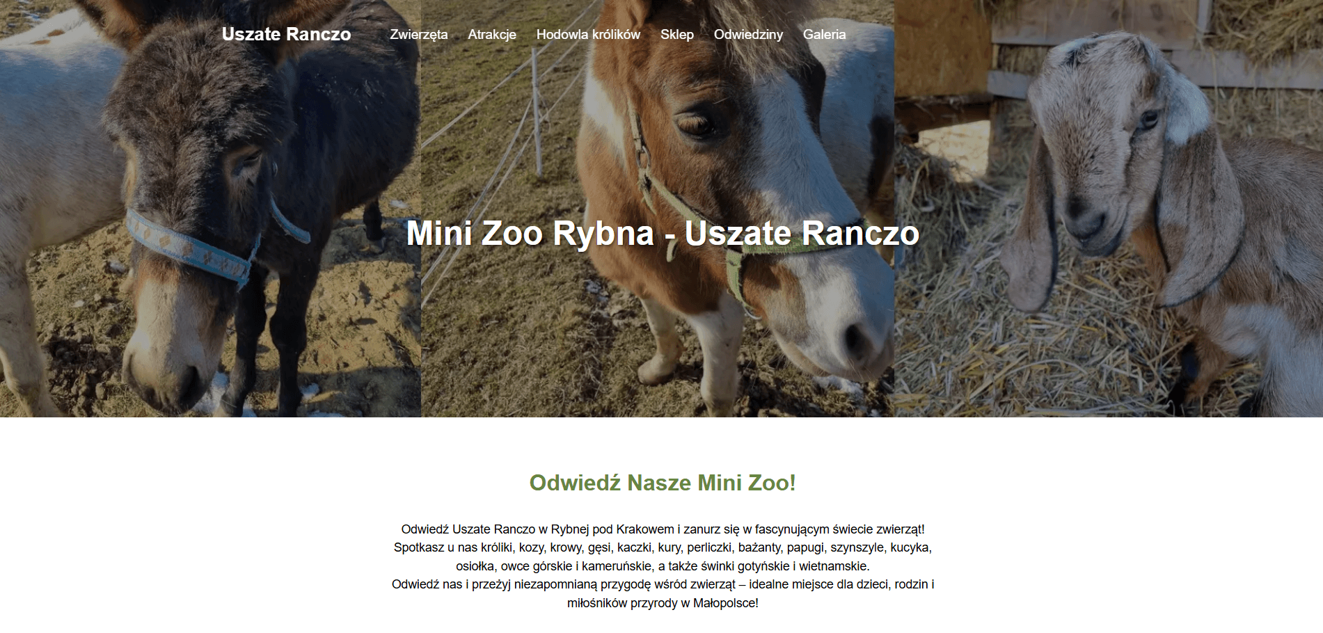 Szymon Gabzdyl - Uszatezoo